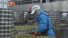 士食物正在稳出产的同时